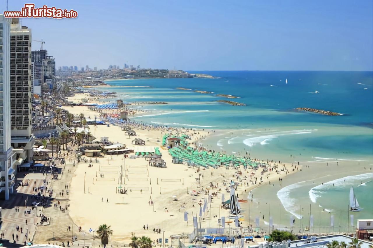 Apt Heart Tlv Arnon 50 Mt From Sea Leilighet Tel Aviv Eksteriør bilde